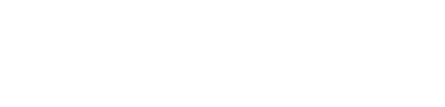 Zip Moving and Storage logo
